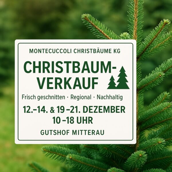 christbaumverkauf whats christbaumverkauf whats